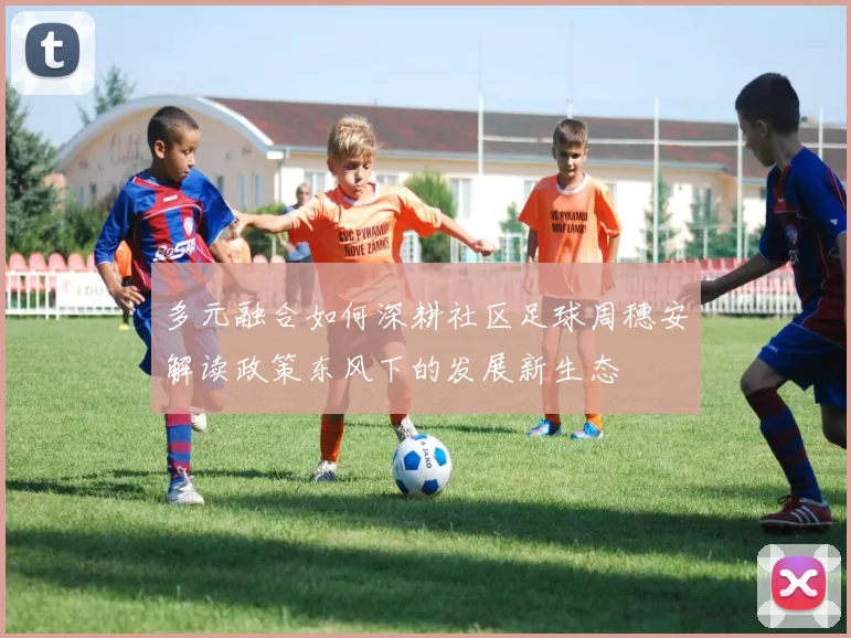 多元融合如何深耕社区足球周穗安解读政策东风下的发展新生态